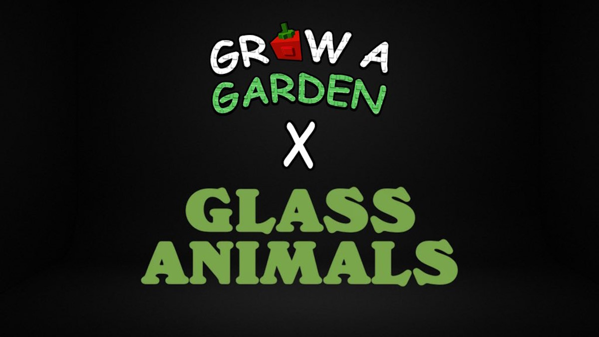 “种植花园 Jandel x Glass Animals 管理员滥用活动”何时开始？